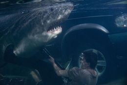 スーパーマーケットで繰り広げられる人喰いサメとのバトルが真新しい