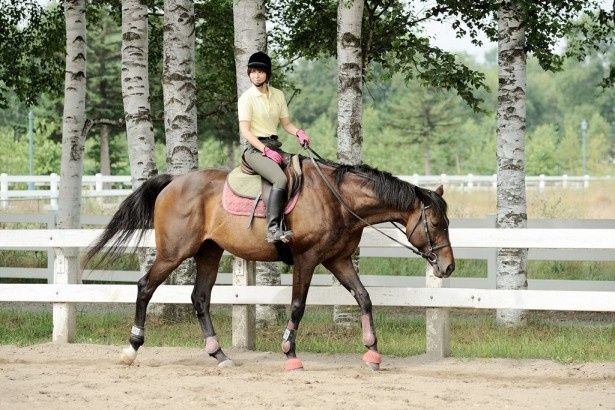 酪農の現場に携わる高校生たちの友情、恋、命と真摯に向き合う姿が描かれる