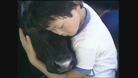 新潟のローカルから全国放送で大きな反響を呼んだ感動のドキュメンタリーが公開