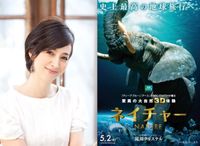 ポスター　 BBC EARTH  驚異の映像美 ポスター BBC EARTH 驚異の映像美 South Pacific その他