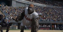 世界初の野球ゴリラの活躍を描く『ミスターGO！』