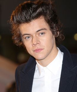 姉とナイルを接近させようと画策中のハリー・スタイルズ