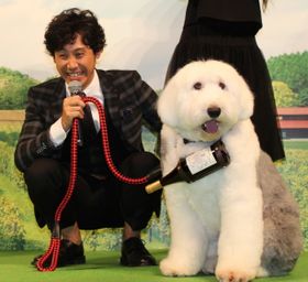 大型犬がサプライズ登場
