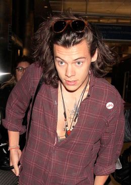 以前より映画デビューの話があがっているハリー・スタイルズ