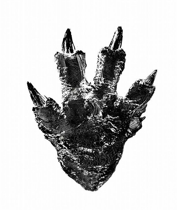 【写真を見る】公開されたゴジラの足型。  これまでで最大とされるギャレス・エドワーズ監督作『GODZILLA　ゴジラ』(14)の108mをはるかに上回る見込み