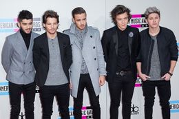 ファンはゼイン抜きの1Dツアーは見たくない？