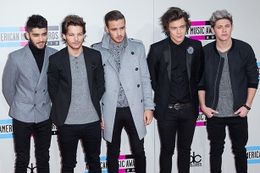 ゼインが脱退して4人で活動中の1D