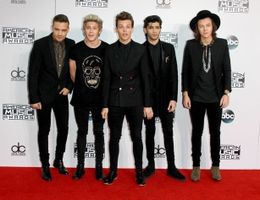 ゼインが脱退して4人で活動中の1D