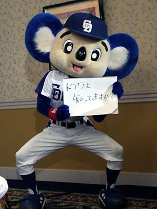 ドアラを知っていますか？(結果は次の写真で)