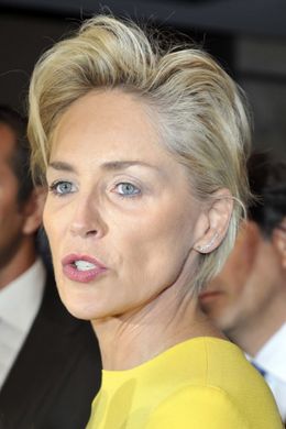 整形疑惑が再び浮上しているシャロン・ストーン