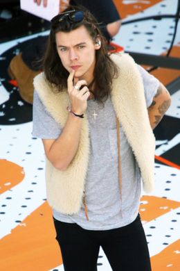 「ファンとセックスしたことがある？」の質問に「したこがある」の札を上げたというハリー・スタイルズ