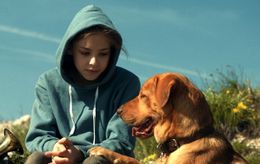現在公開中の『ホワイト・ゴッド　少女と犬の狂詩曲』から癒し写真を一挙公開！