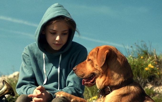 ホワイト・ゴッド 少女と犬の狂詩曲：映画作品情報・あらすじ