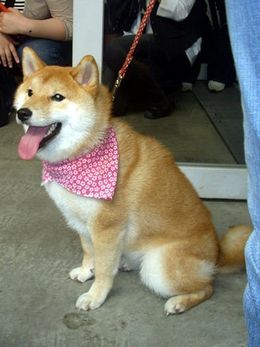 大きくなってもかわいらしさは相変わらず