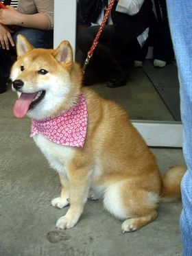 大きくなってもかわいらしさは相変わらず