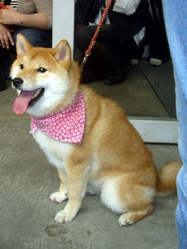 大きくなってもかわいらしさは相変わらず