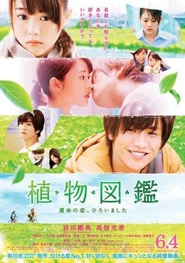 『植物図鑑 運命の恋、ひろいました』のポスタービジュアル