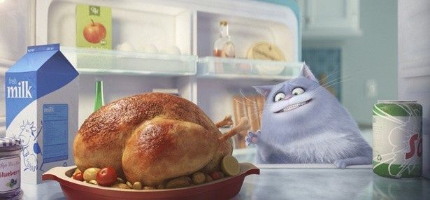 太った猫クロエはお肉を我慢できるのか？