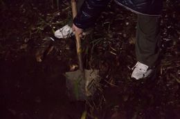 穴を掘っているのは何かを隠すため？