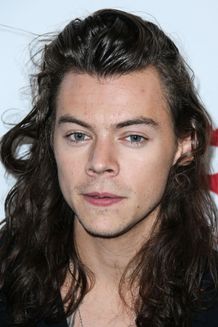 美人キャビン・アテンダントと交際していたというハリー・スタイルズ