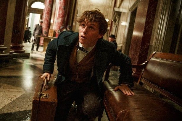 『ファンタスティック・ビーストと魔法使いの旅』の主人公はおっちょこちょいな魔法使いのニュート・スキャマンダー