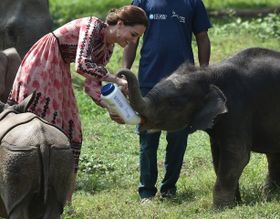 楽しそうにゾウの赤ちゃんにミルクを飲ませるキャサリン妃