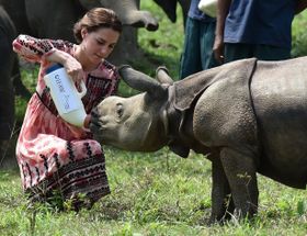 サイの赤ちゃんにミルクをあげるキャサリン妃