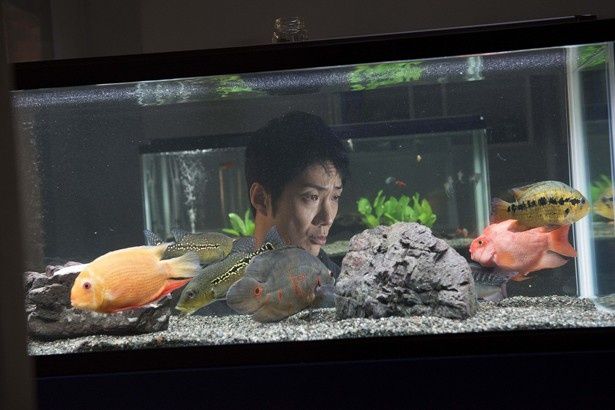 唯一の友達は熱帯魚という変わり者