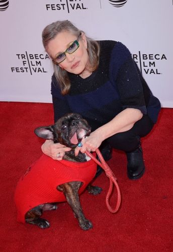 キャリー・フィッシャー、愛犬の舌ピアス発言で炎上！