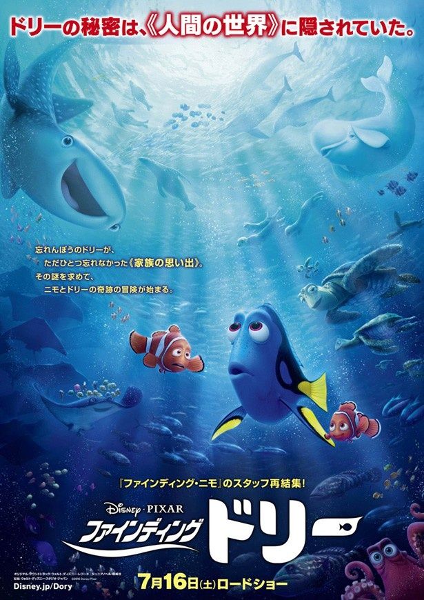 【写真を見る】アニメーション史上、全米歴代No.1のオープニング記録を樹立した『ファインディング・ドリー』