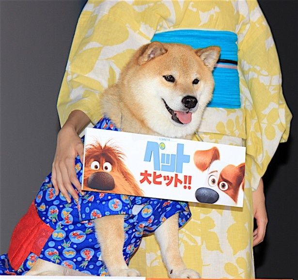 立派にお務めを果たした