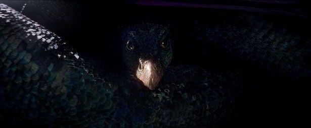 オカミーは、色や姿や大きさを自在に変えることができるという