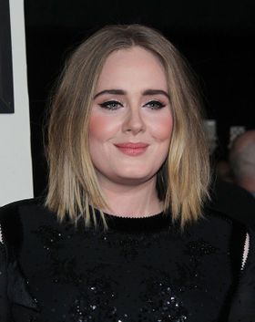 11月のツアー終了後、育児に専念するというアデル