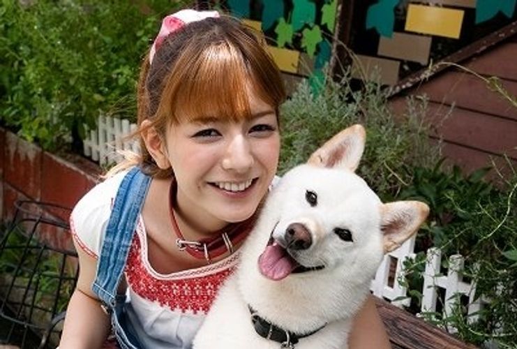 犬好き悶絶!?　ワンコ俳優たちが豊かな表情を見せる犬映画って？