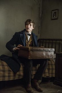 エディ・レッドメインが演じる“新しいハリー”ことニュート・スキャマンダー