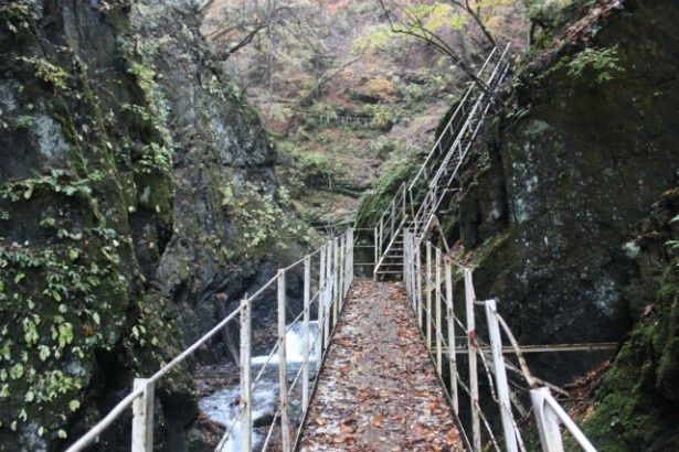 野趣あふれる遊歩道を通って妙蓮の滝へ