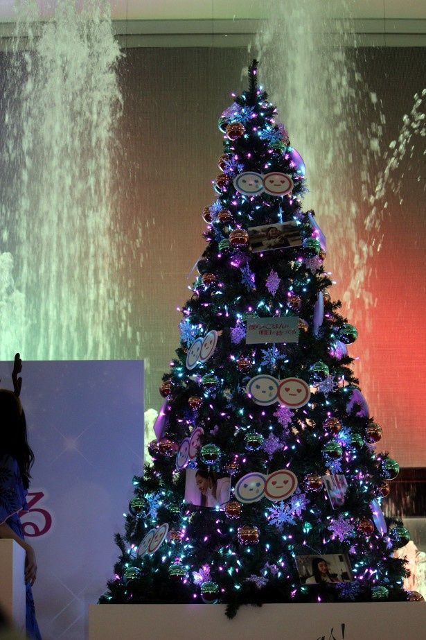 こちらが点灯したクリスマスツリー