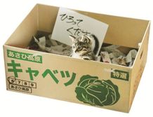 『世界から猫が消えたなら』の猫キャベツ。潤んだ瞳が愛くるしい