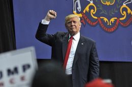 トランプ次期大統領がメリルについて「ハリウッドで最も過大評価されている女優」とツイート