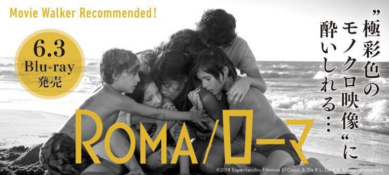“極彩色のモノクロ映像”に酔いしれる…『ROMA/ローマ』特集