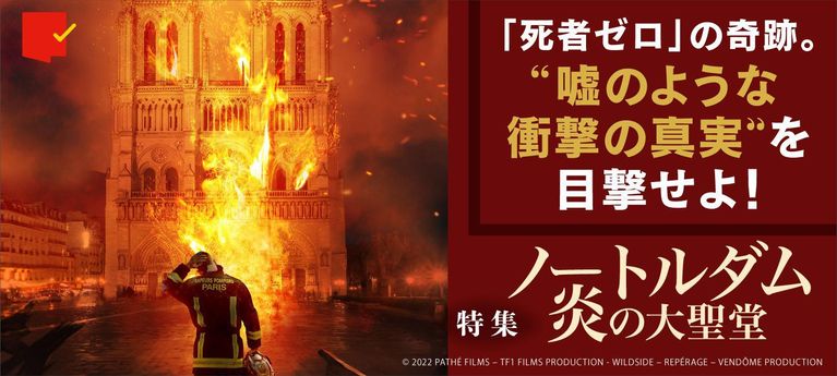“嘘のような衝撃の真実”を目撃せよ!『ノートルダム 炎の大聖堂』特集