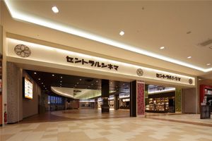 写真2