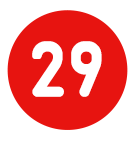 No.29