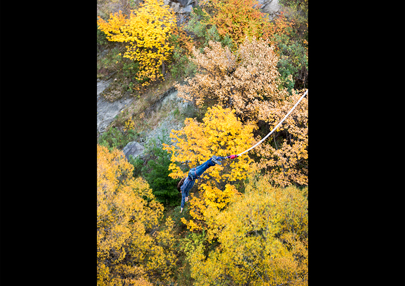 クィーンズタウンでバンジージャンプをする共同脚本家のトビー・ハルブルックス